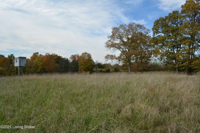 6687 Woods Pike, Pleasureville, KY 40057