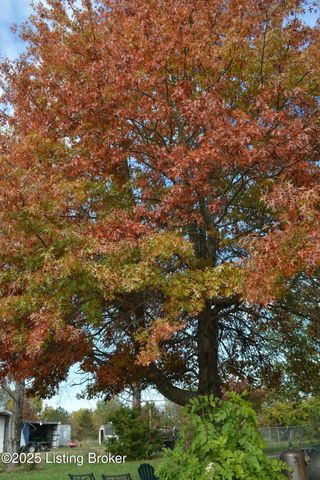 6687 Woods Pike, Pleasureville, KY 40057