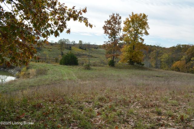 6687 Woods Pike, Pleasureville, KY 40057