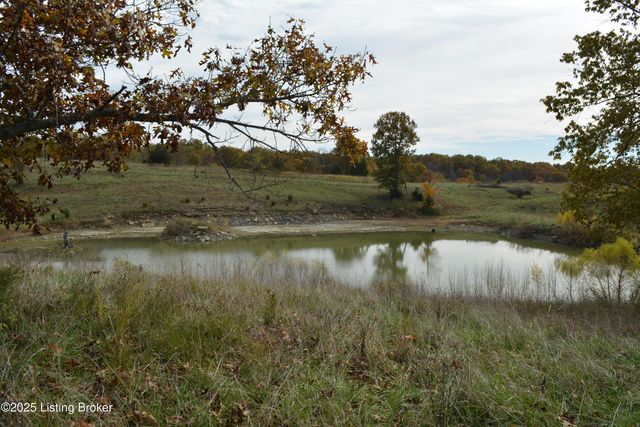 6687 Woods Pike, Pleasureville, KY 40057