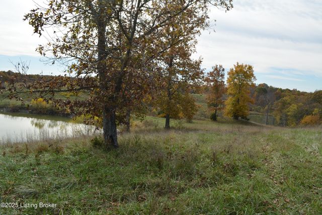 6687 Woods Pike, Pleasureville, KY 40057