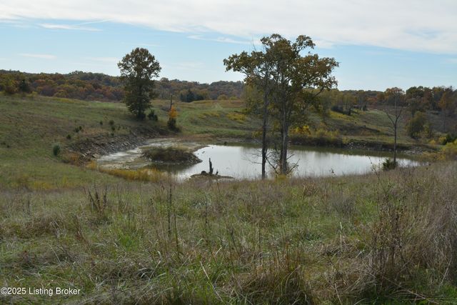 6687 Woods Pike, Pleasureville, KY 40057