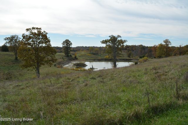 6687 Woods Pike, Pleasureville, KY 40057