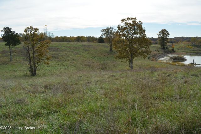 6687 Woods Pike, Pleasureville, KY 40057