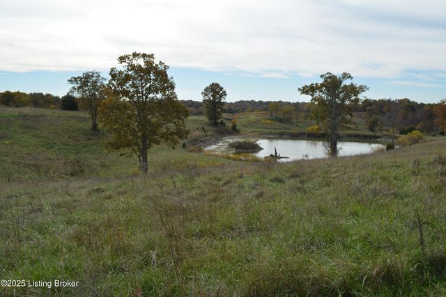 6687 Woods Pike, Pleasureville, KY 40057