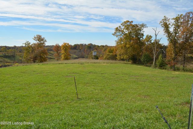 6687 Woods Pike, Pleasureville, KY 40057