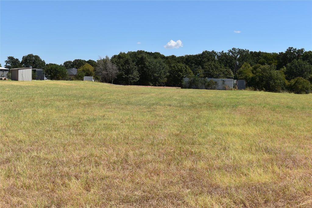 TBD FM 4, Grandview, TX 76050 — photo 2