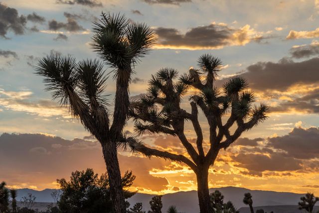 1 Aberdeen Drive, Yucca Valley, CA 92284