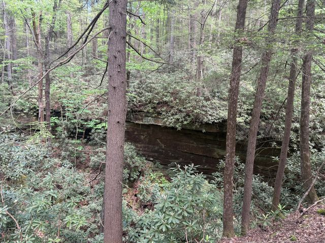 342 Dewey Banks Road, Campton, KY 41301