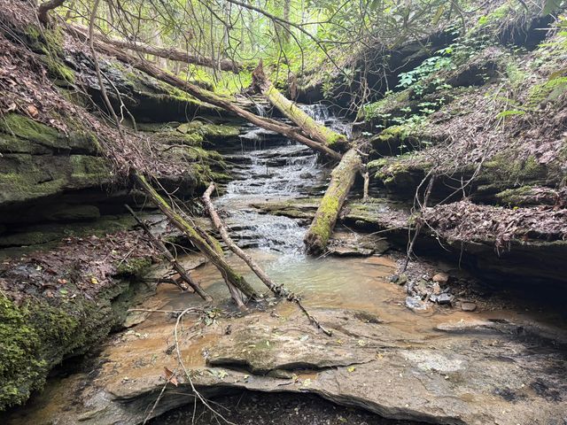 342 Dewey Banks Road, Campton, KY 41301