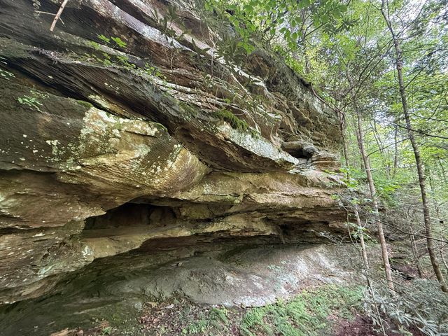 342 Dewey Banks Road, Campton, KY 41301