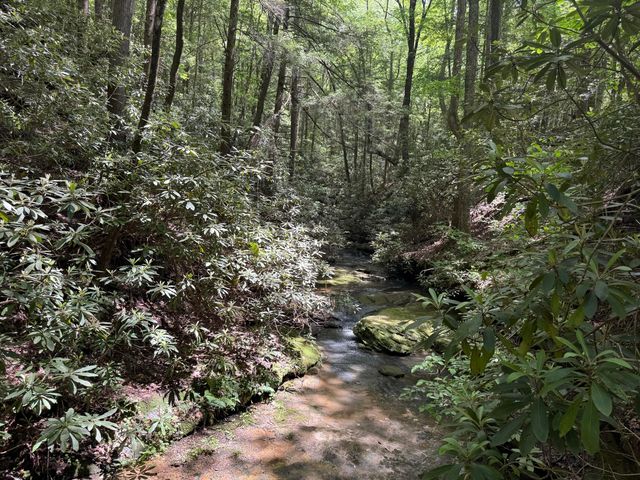 342 Dewey Banks Road, Campton, KY 41301