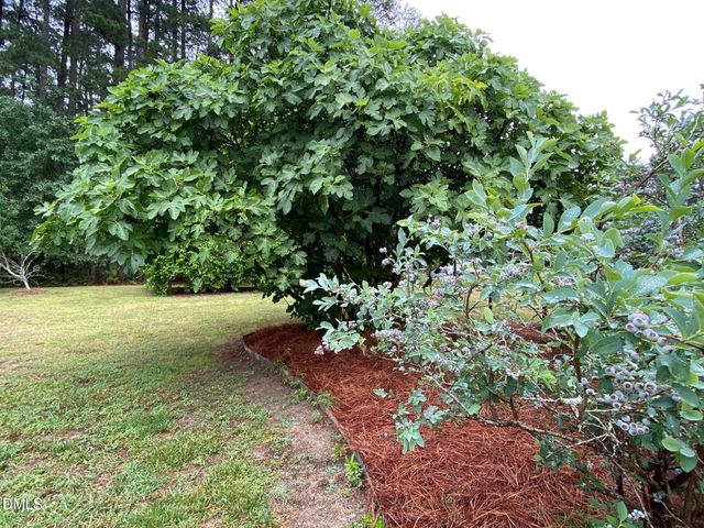 2256 Shotwell Road, Clayton, NC 27520