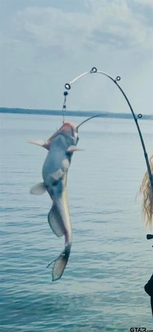 17144 Lakeview Drive, Flint, TX 75762