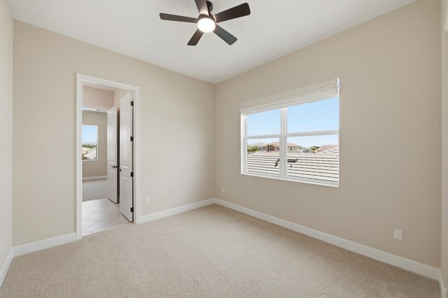 14160 Lacebark Lane, Westlake, FL 33470