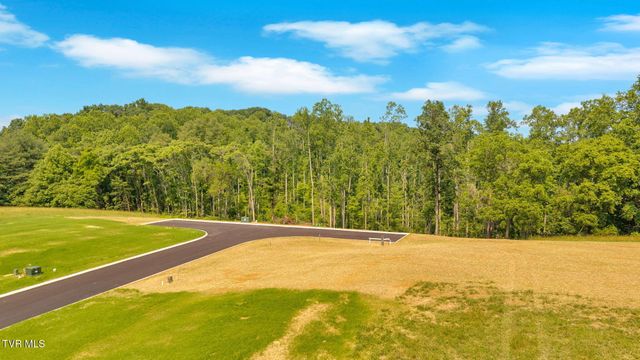 448 Tortoise Way, Jonesborough, TN 37659