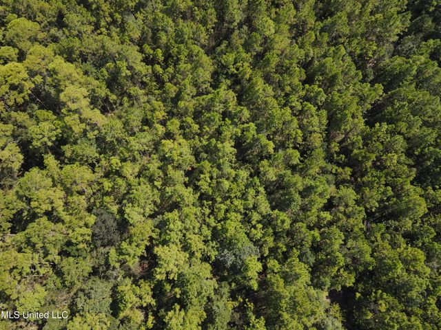 Off Montebella Road, Pass Christian, MS 39571