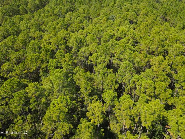 Off Montebella Road, Pass Christian, MS 39571