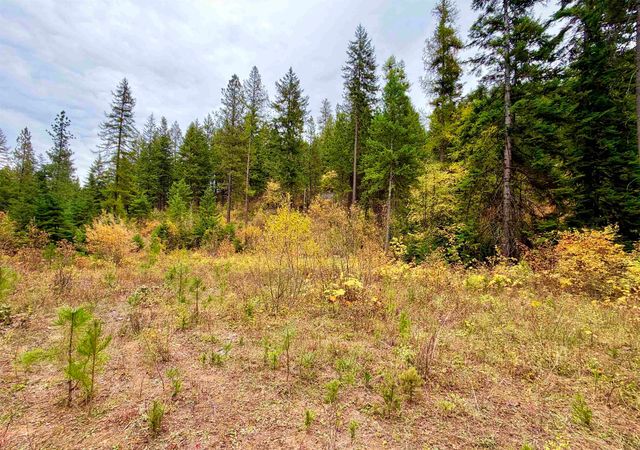 42XX Bussard Lake Rd, Loon Lake, WA 99148 property photo