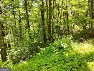 0 LaBelle Circle LOT 92, Sky Valley, GA 30537