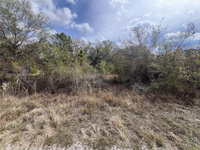 1913 Roderick Ln, Lehigh Acres, FL 33972