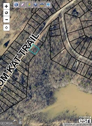 0 Tom Kat, Lavonia, GA 30553