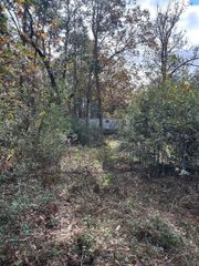19874 Crystalwood Estates Drive, New Caney, TX 77357