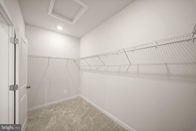 2320 HAWKSHILL DRIVE, Jeffersonton, VA 22724