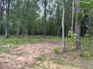 Bridgewater Bend Bend, Ridgeland, MS 39157