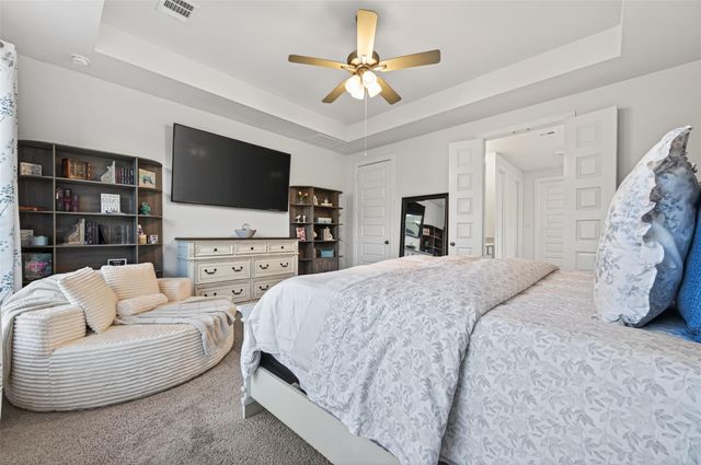 27114 Coneflower Daisy Way, Hockley, TX 77447