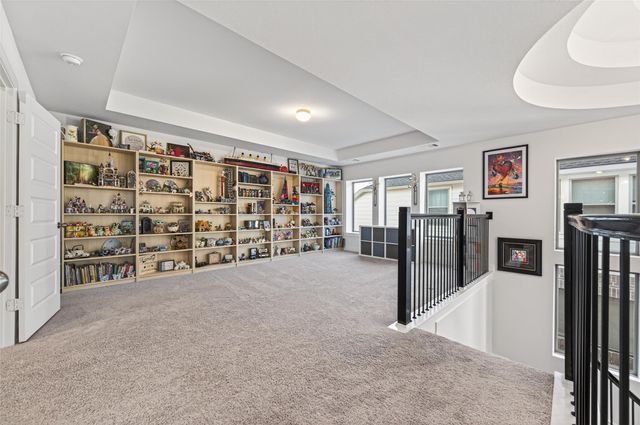 27114 Coneflower Daisy Way, Hockley, TX 77447