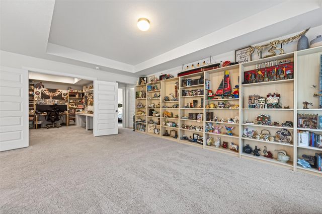 27114 Coneflower Daisy Way, Hockley, TX 77447