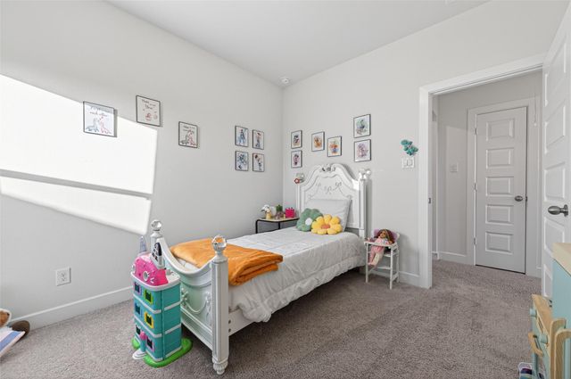 27114 Coneflower Daisy Way, Hockley, TX 77447