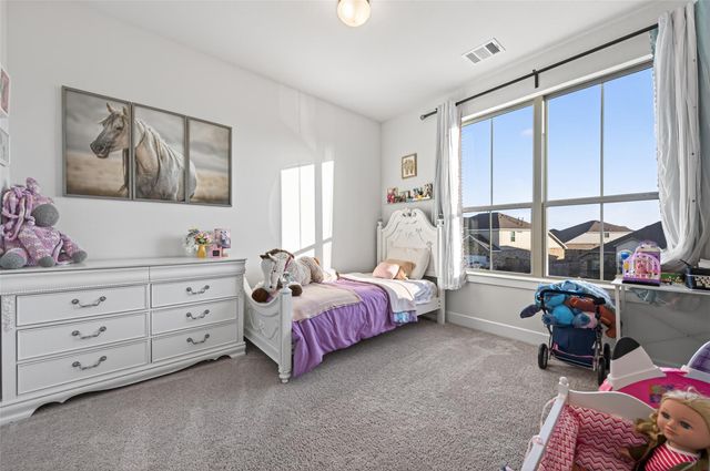 27114 Coneflower Daisy Way, Hockley, TX 77447