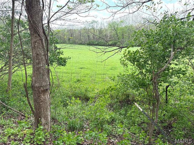 19142 Hardt Road, Wildwood, MO 63038