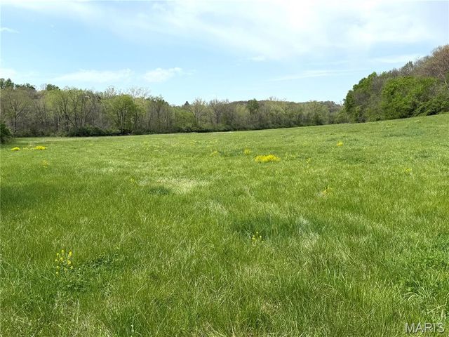 19142 Hardt Road, Wildwood, MO 63038