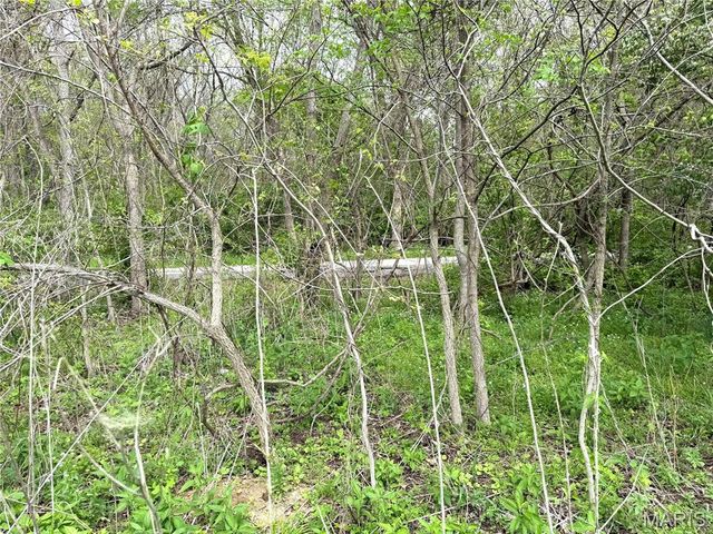 19142 Hardt Road, Wildwood, MO 63038