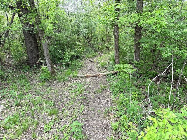 19142 Hardt Road, Wildwood, MO 63038