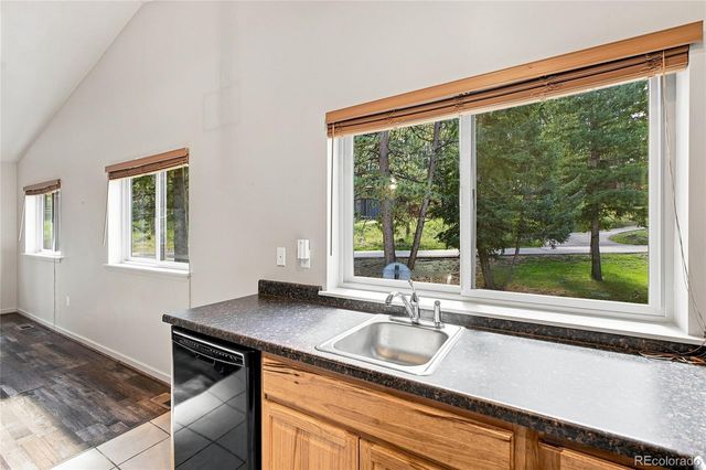 28609 Pine Drive, Evergreen, CO 80439