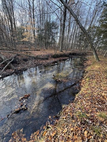 3893 E Yonker Road, Hesperia, MI 49421