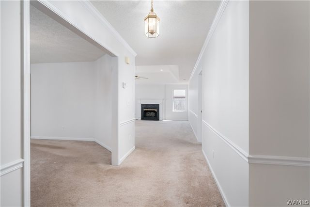 894 WEATHERBY, Tuscaloosa, AL 35405