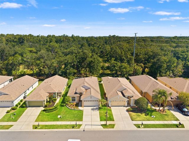 2913 BANYAN HILL LANE, Land O Lakes, FL 34639