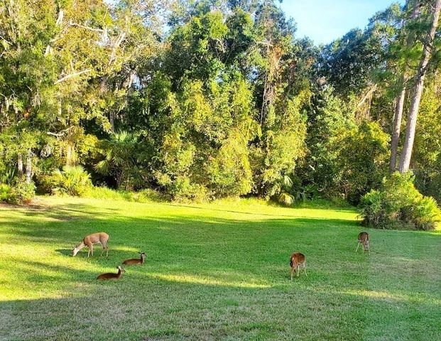 7517 JOMEL DRIVE, Weeki Wachee, FL 34607