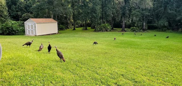 7517 JOMEL DRIVE, Weeki Wachee, FL 34607