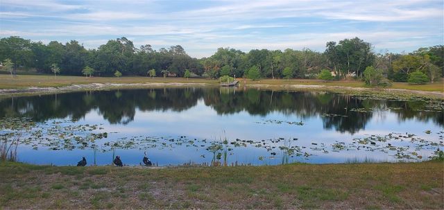 7517 JOMEL DRIVE, Weeki Wachee, FL 34607