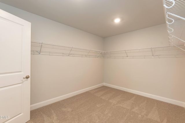 237 Hopewell Branch Court, Smithfield, NC 27577