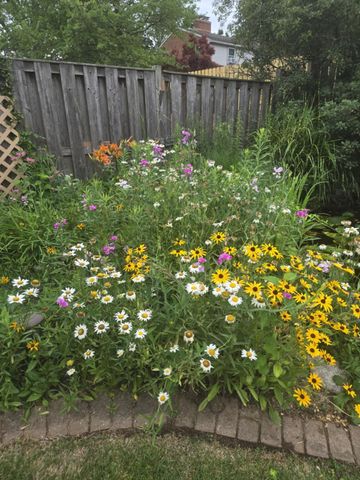 1761 Edgewood Avenue SE, Grand Rapids, MI 49506