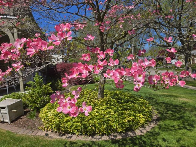 1761 Edgewood Avenue SE, Grand Rapids, MI 49506