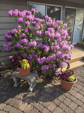 1761 Edgewood Avenue SE, Grand Rapids, MI 49506