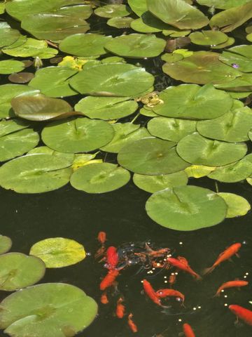 1761 Edgewood Avenue SE, Grand Rapids, MI 49506